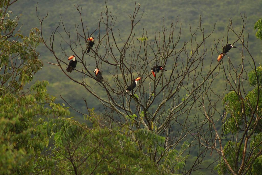 Pousada Meu Talento Hotel Alto Paraíso de Goiás Bagian luar foto